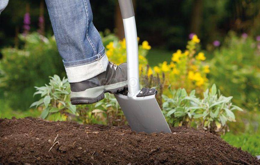 Как правильно подкармливать растения компостом