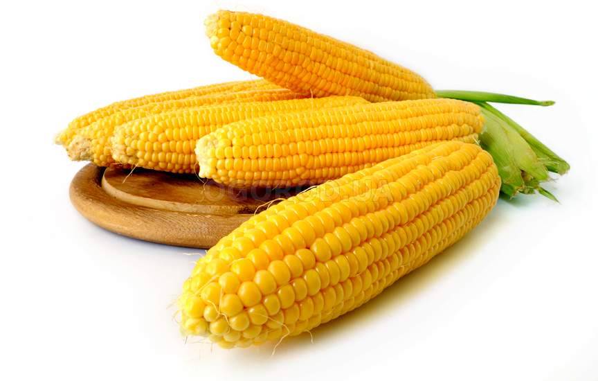 Суперсладкая кукуруза