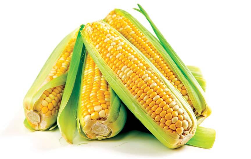 Суперсладкая кукуруза