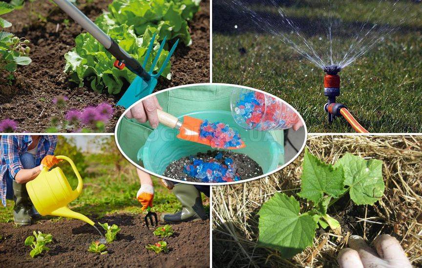 Приемы, позволяющие поливать сад реже
