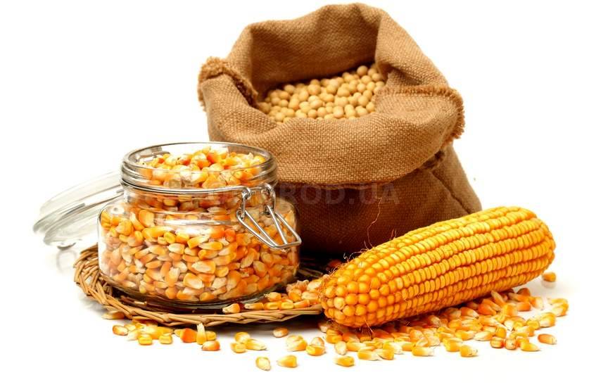 Золотая кукуруза
