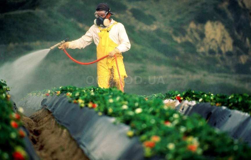 Применение пестицидов