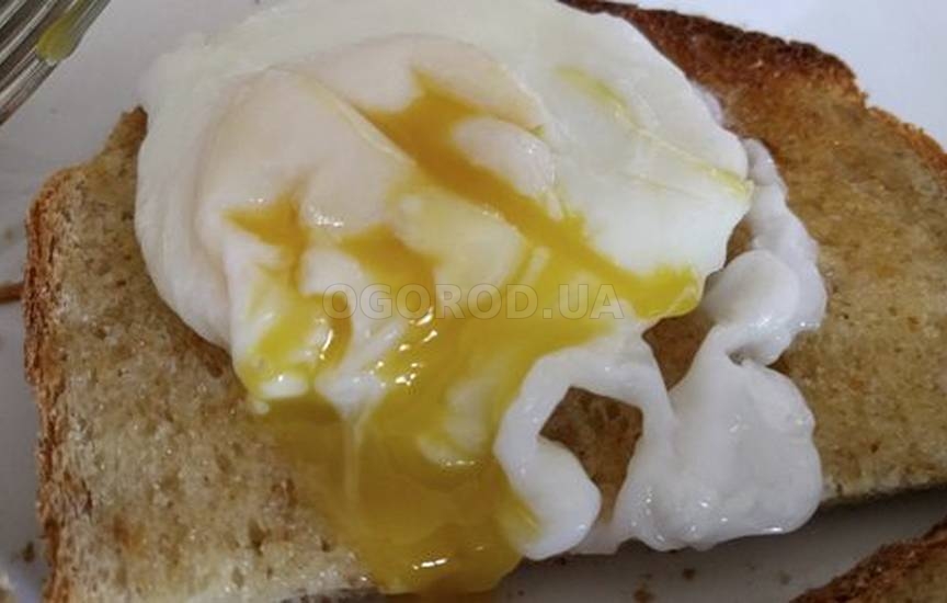 Яйцо пашот с острым соусом