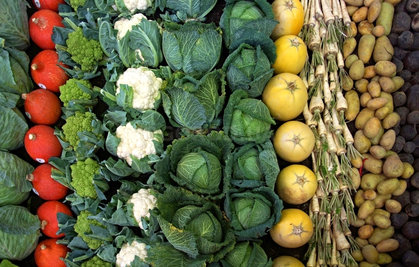 Овощи и зимнее хранение
