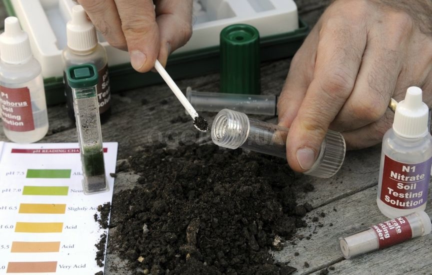 Что нужно знать о pH почвы