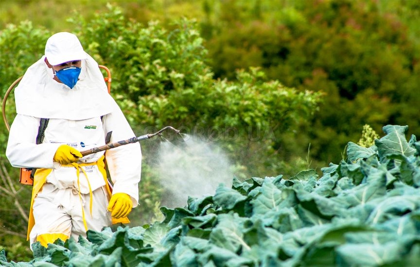 Что такое пестициды?