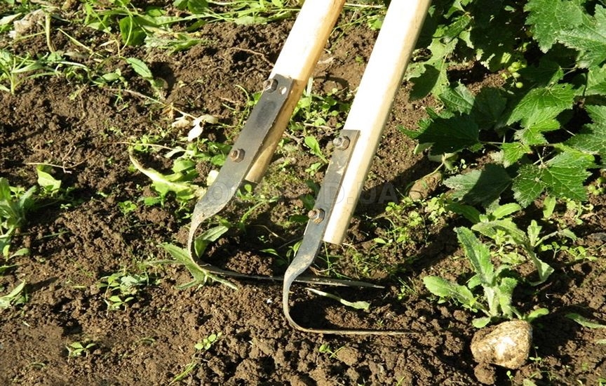 Обработка почвы при помощи плоскореза