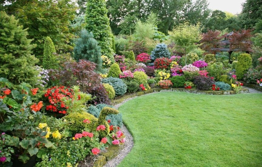 Хвойные кустарники для сада фото и названия многолетних садовых кустов