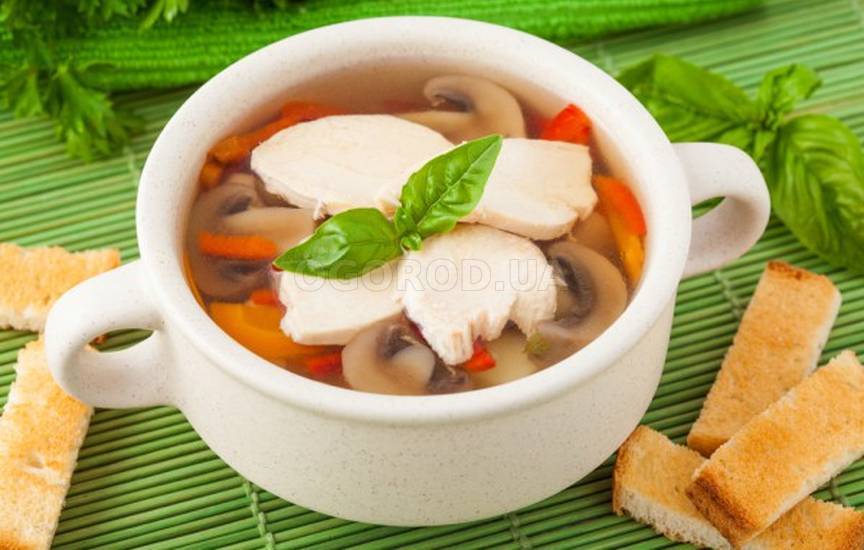 Куриный суп с баклажанами и грибами