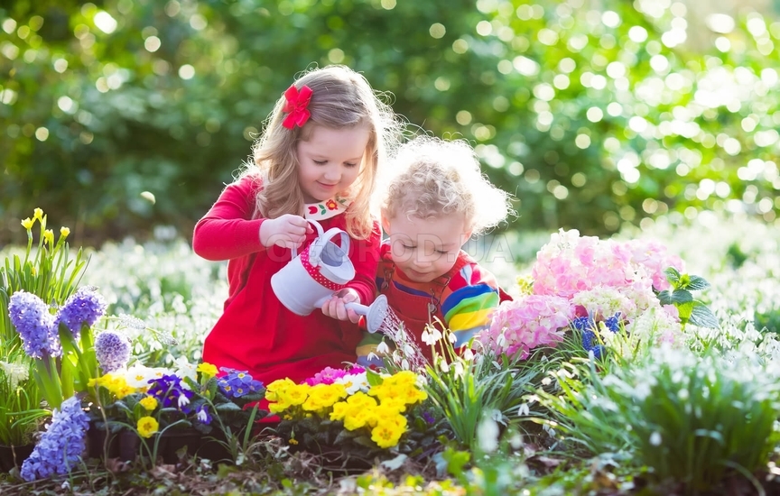 Сад – волшебное место для детей