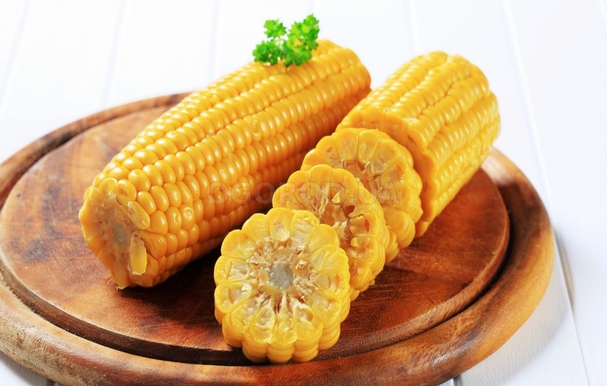 Употребление в пищу кукурузы