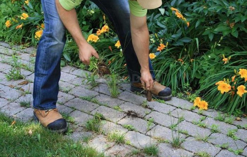 Как удалить траву с тротуарной плитки