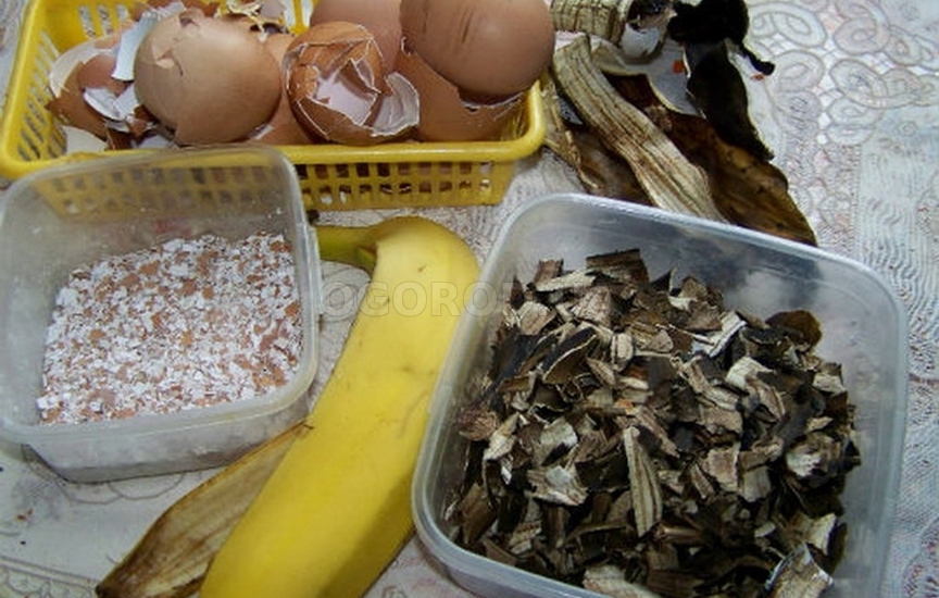 Ингредиенты для приготовления удобрения из банана