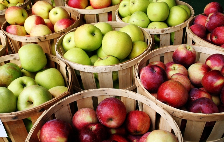 Как правильно сохранить яблоки до зимы