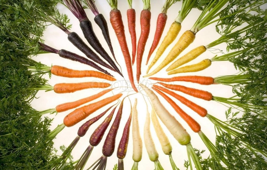 Цветная морковь