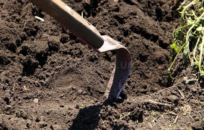 Весенняя обработка почвы в открытом грунте