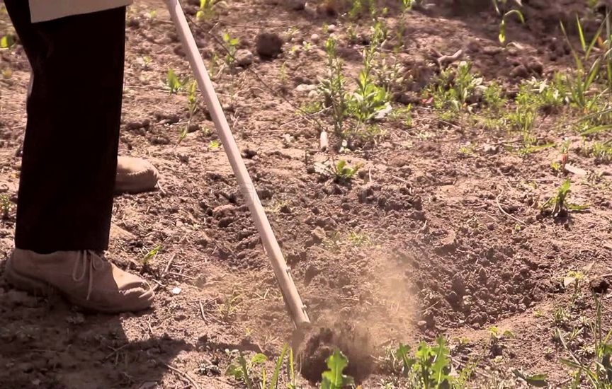 Осенняя подготовка почвы по ЭМ-технологии, без перекопки почвы