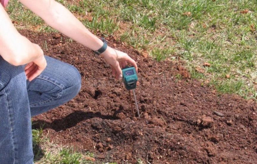 Так же нужно проверить pH вашей почвы