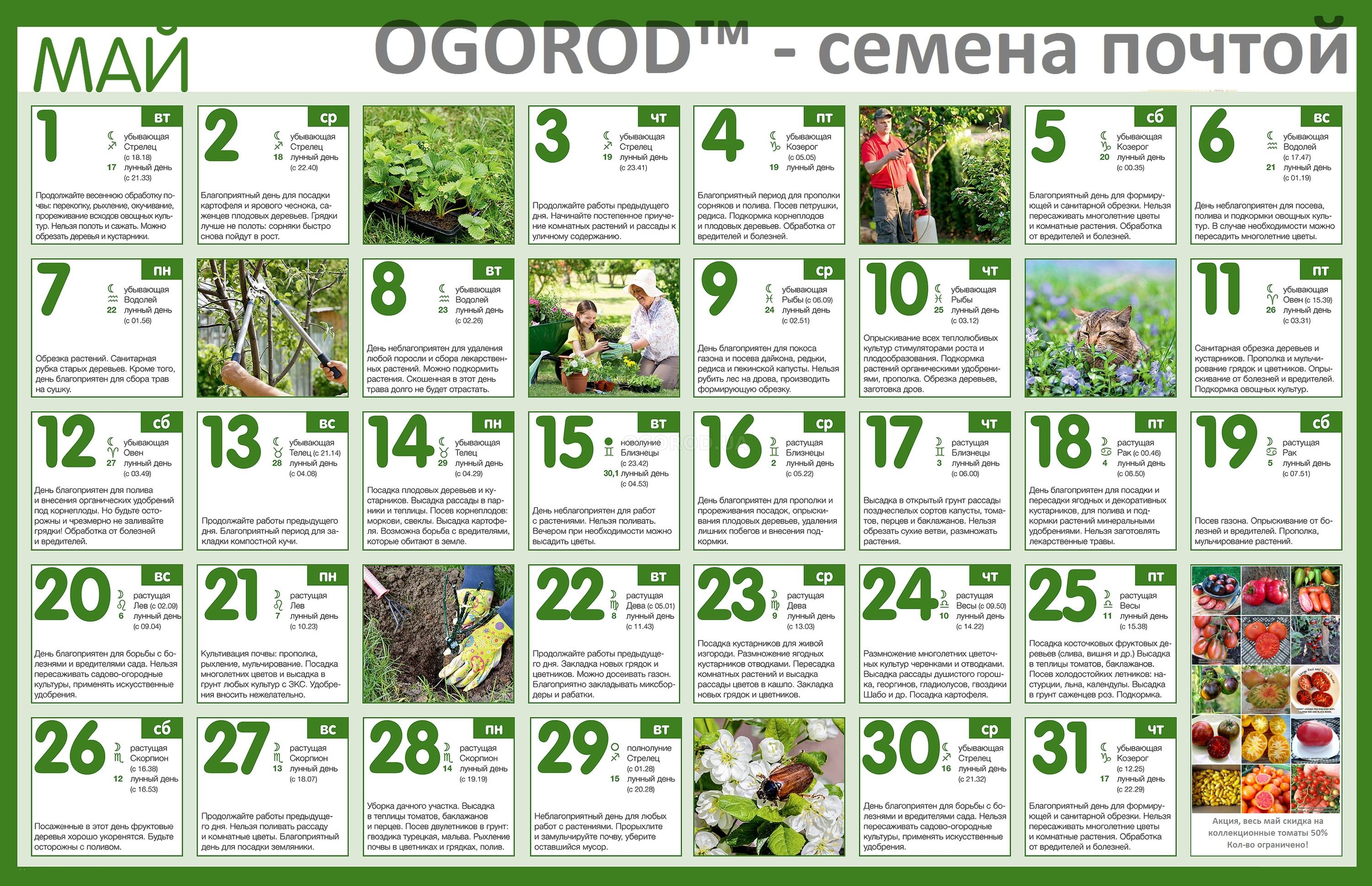 Огородный календарь на май 2018