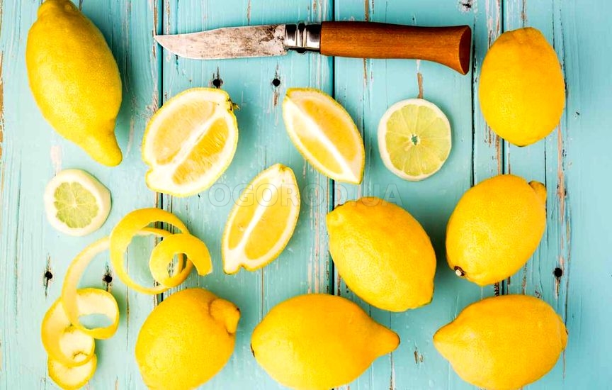 Что интересного и вкусного приготовить из лимонов
