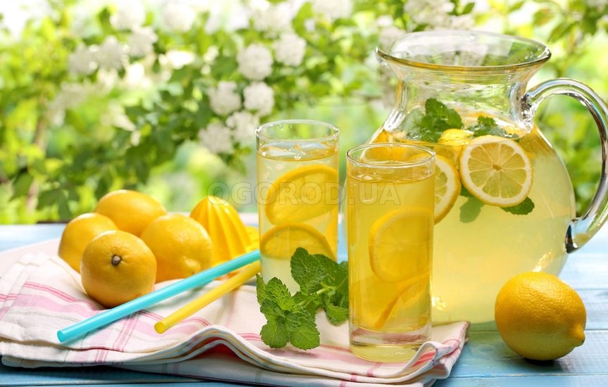 Летом актуален напиток из лимонов – натуральный лимонад