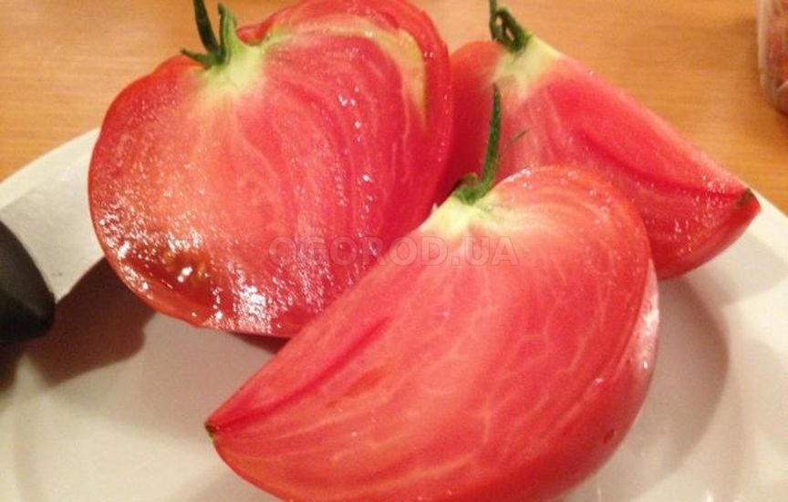 Вкусовые качества томата