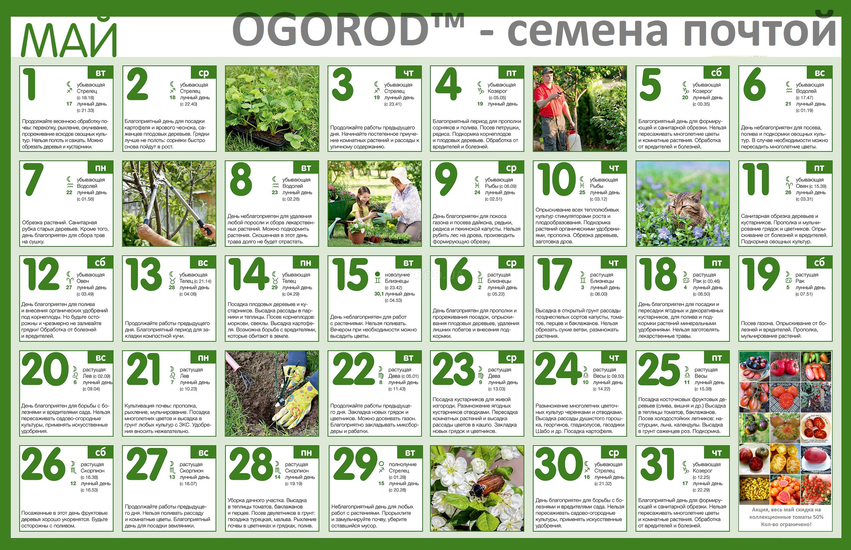 Огородный календарь на май 2018
