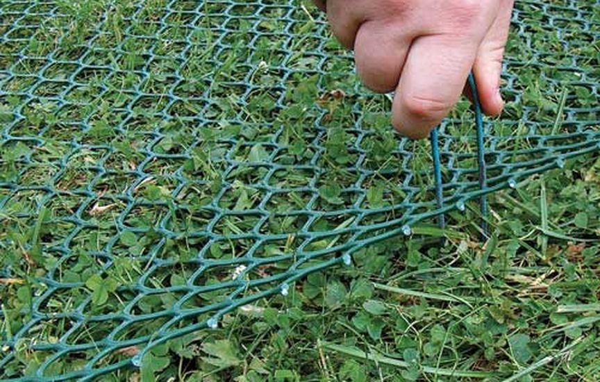 Для закладки газонов применяется сетка садовая