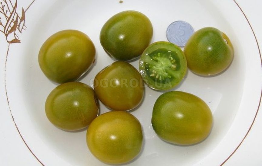 Семена томата «Немецкая вишня»