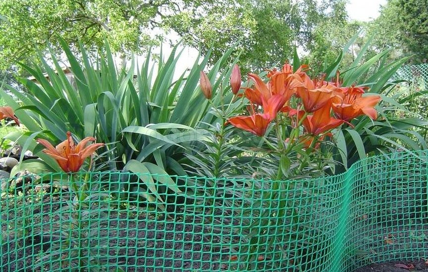 Пластиковые садовые сетки используются для разных целей