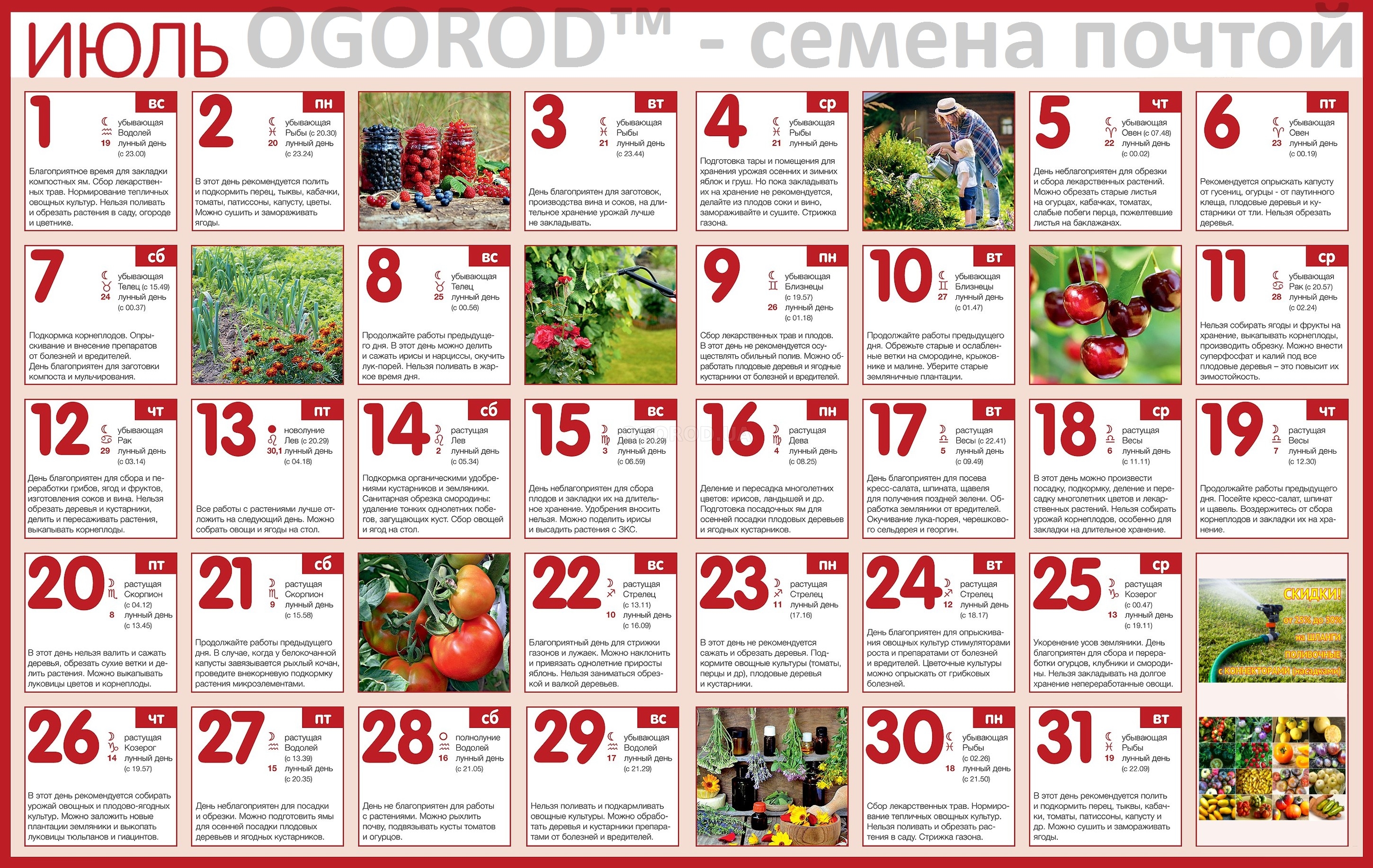 Огородный календарь на июль 2018