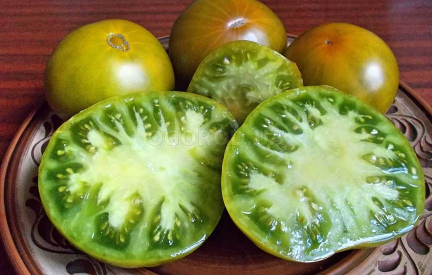 Лучшие сорта зеленых томатов: посадка и уход