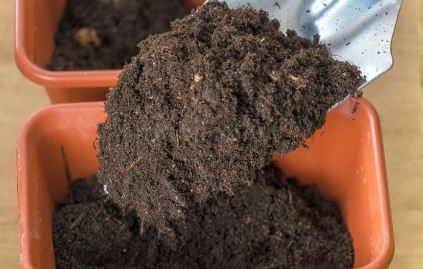 Почва для пряных растений