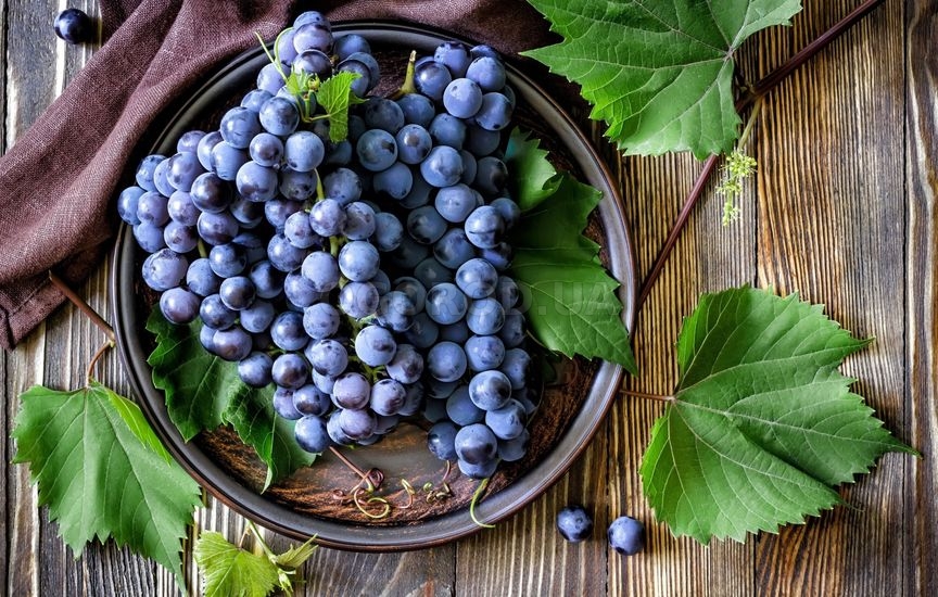 Какие сорта винограда пригодны к длительному хранению