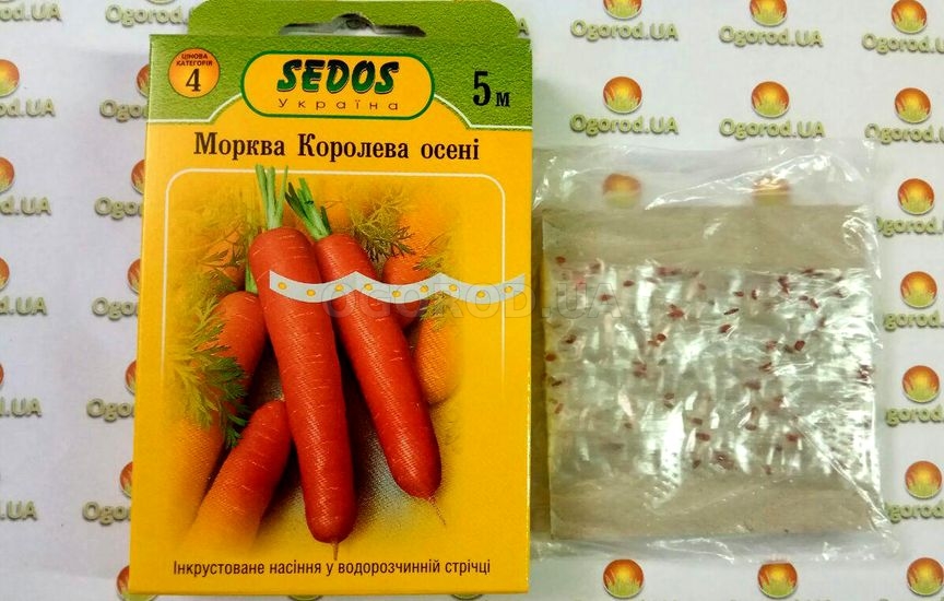 Морковь «Королева Осени»