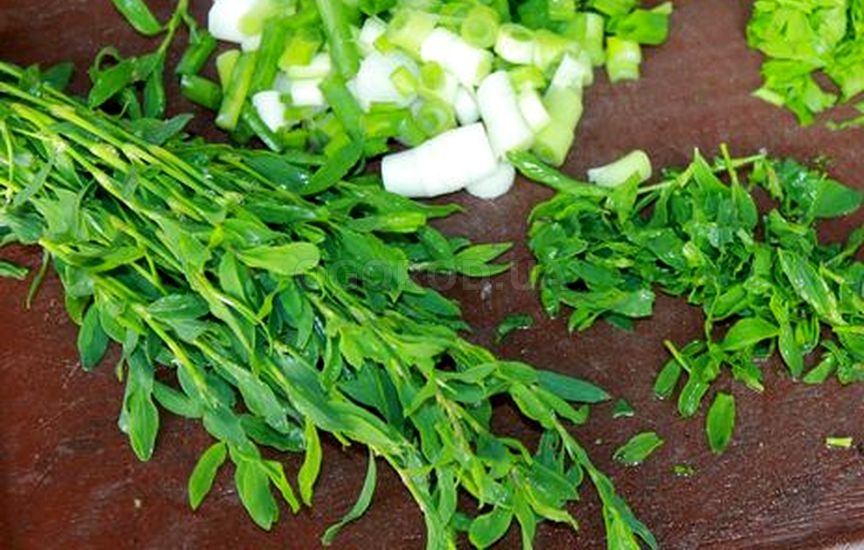 Молодую зелень спорыша употребляют в салатах