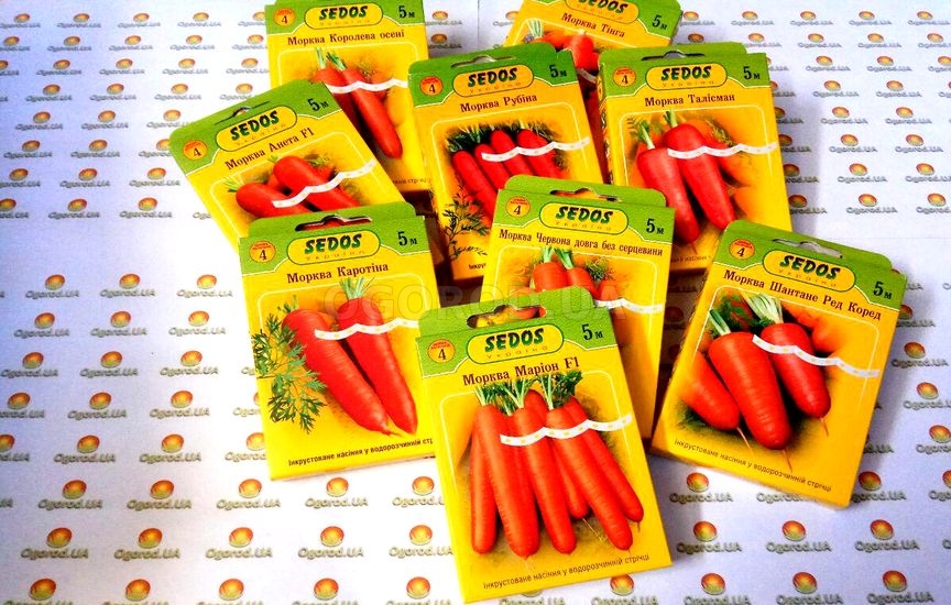 Лучшие сорта моркови на водорастворимой ленте