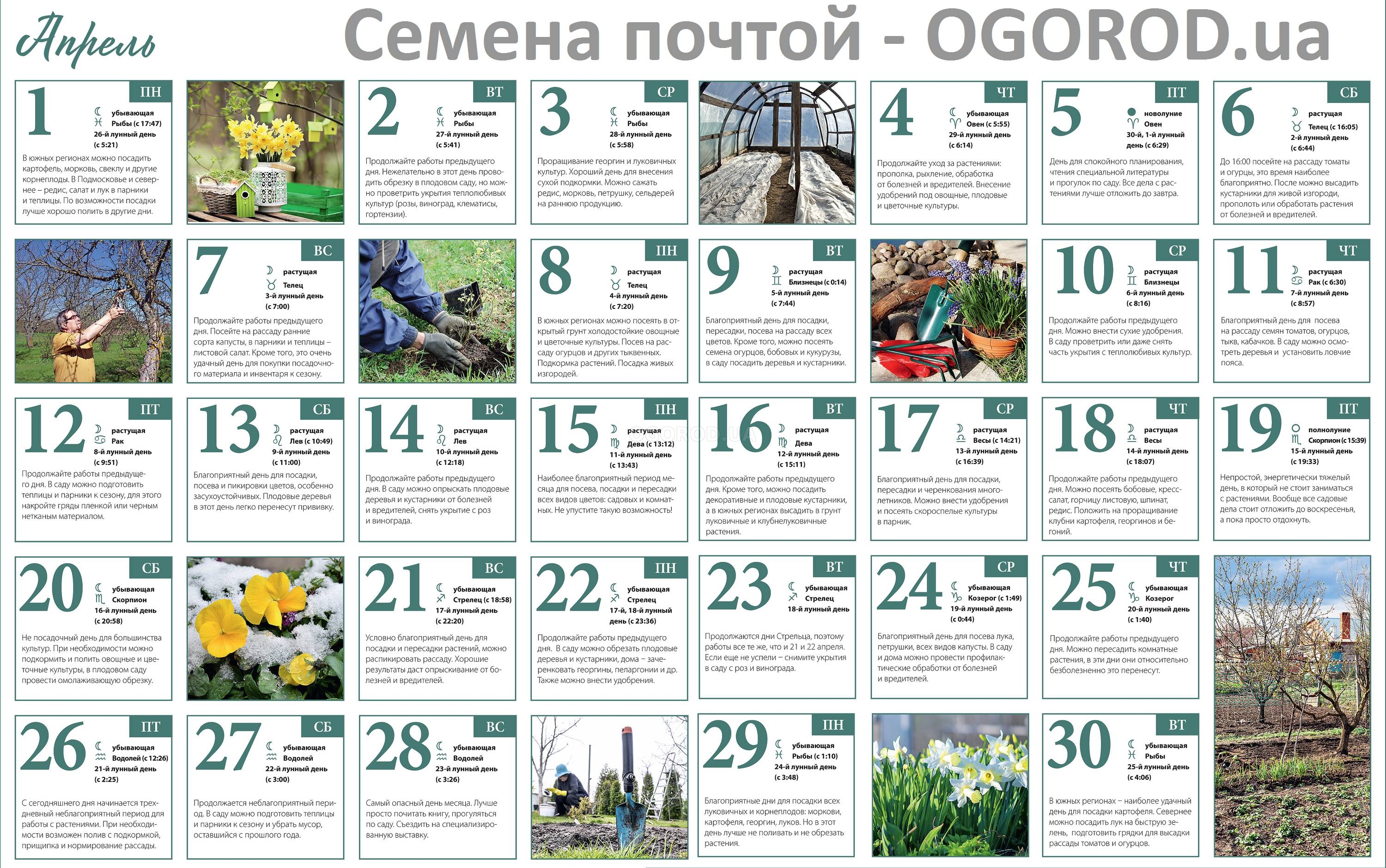 Огородный календарь на апрель 2019