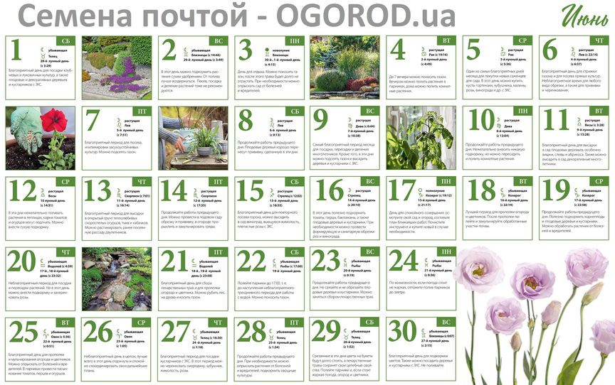 Лунный календарь садовода на июнь 2019