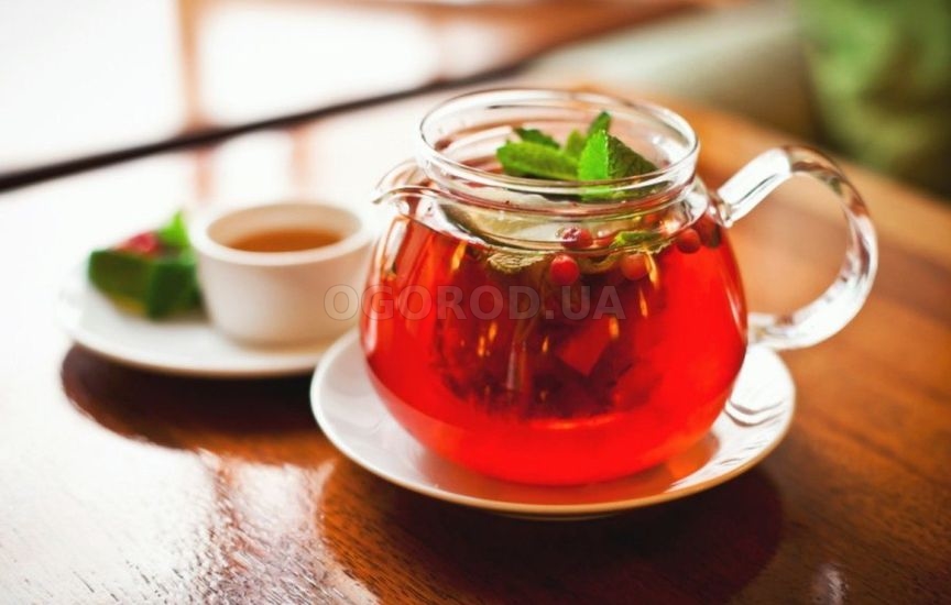 Чай с клюквой – как заваривать?
