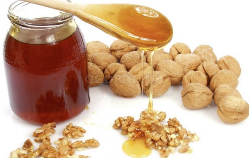 При каких заболеваниях нужно есть грецкие орехи с медом?