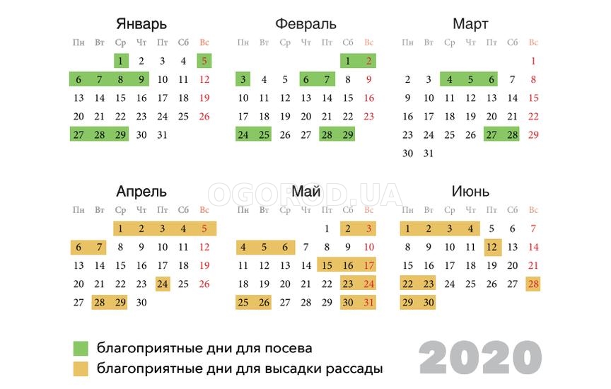 Календарь для конопли в москве задержаны за наркотики