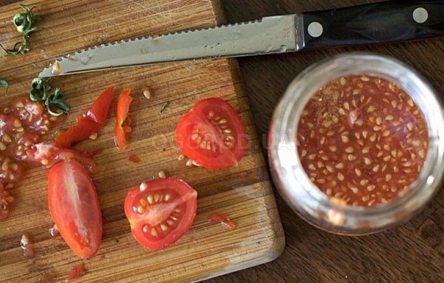 Как собрать семена томатов для посадки самому