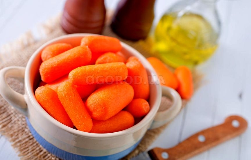 Морковь, маринованная по-болгарски