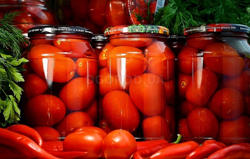 Маринованные помидоры — непременный атрибут нашего застолья