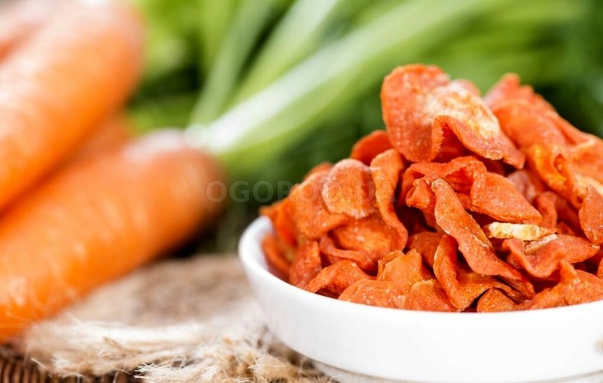 Сушёная морковь — вкусная и полезная заготовка
