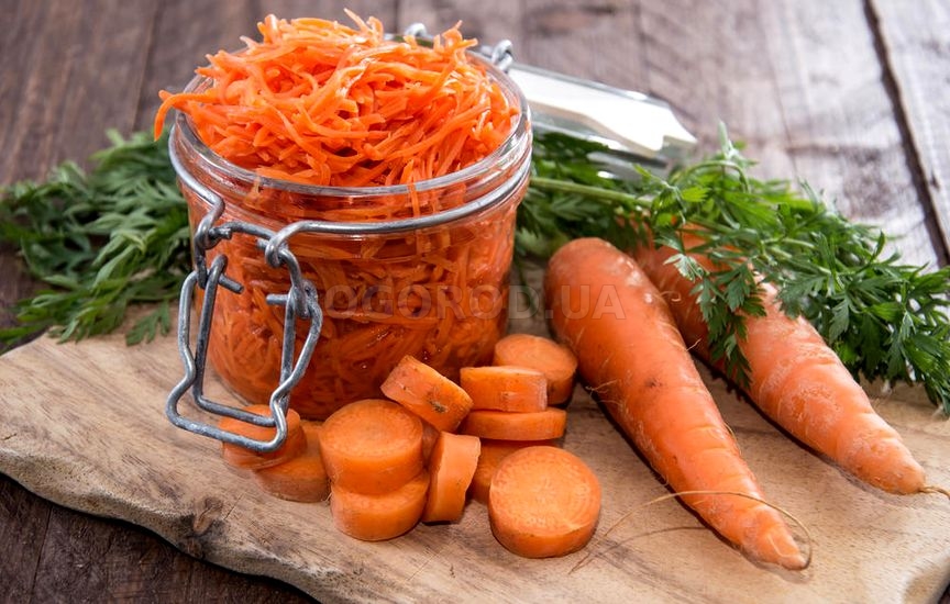 Все секреты и уловки заготовок из морковки