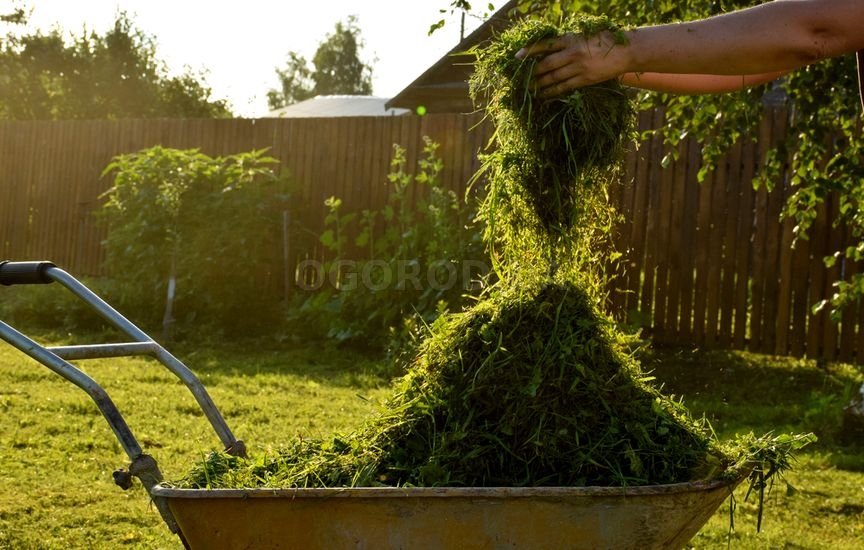 Свежескошенная трава нейтрализует запахи дачной уличной уборной
