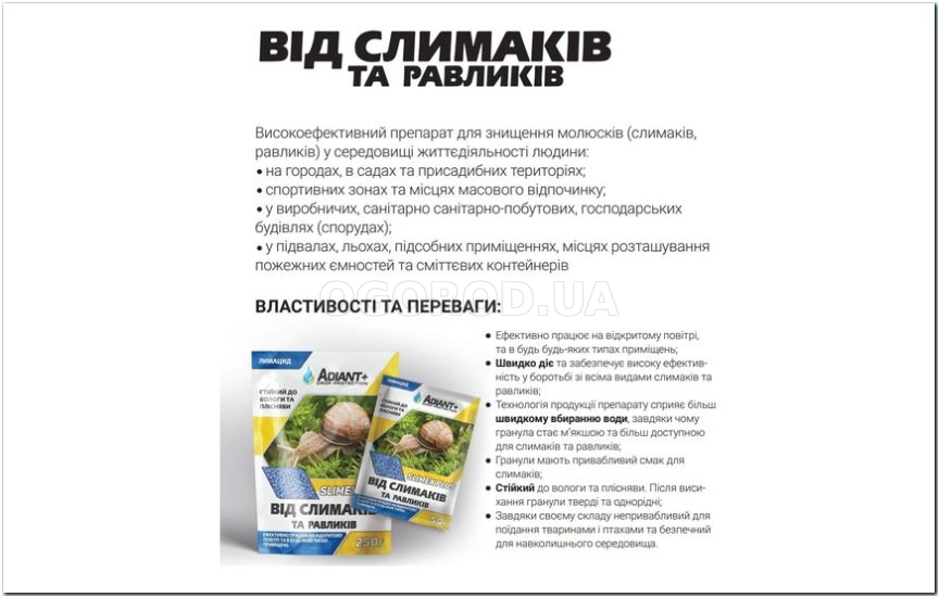 Слизни в саду: как бороться Слизни в саду: как бороться