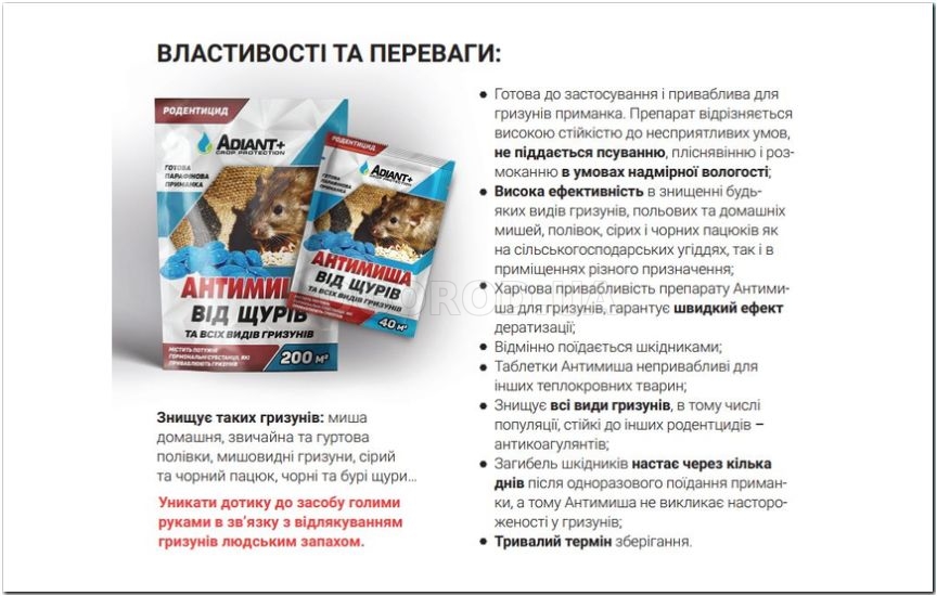 Борьба с грызунами на даче